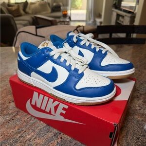 Nike Dunk Low in Blue and White